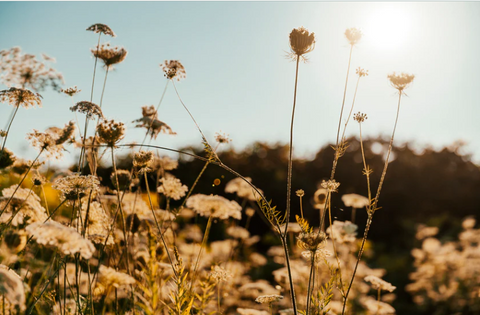 Allergiezeit & Hautpflege